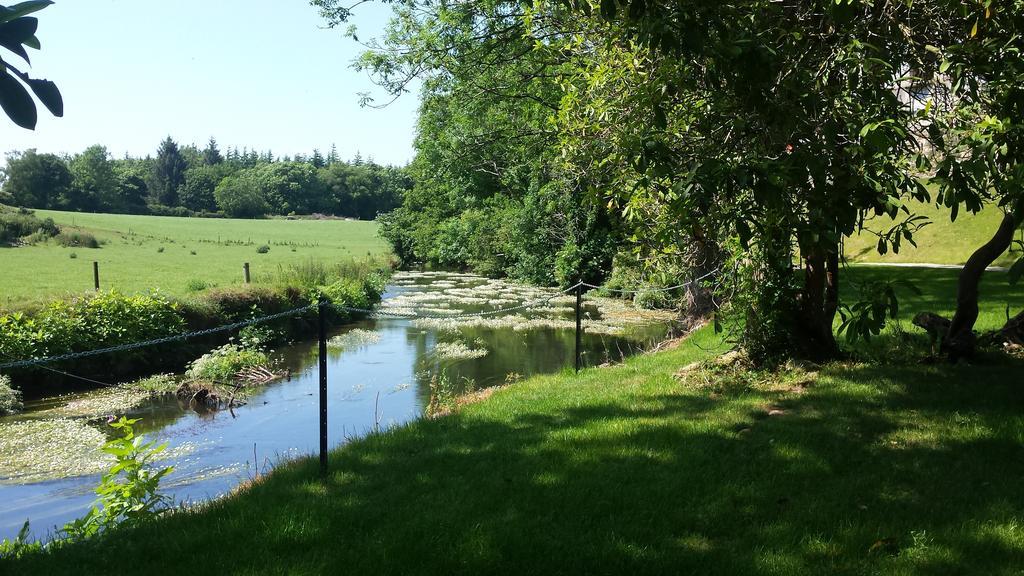 Wilton Castle Apartment Enniscorthy Luaran gambar